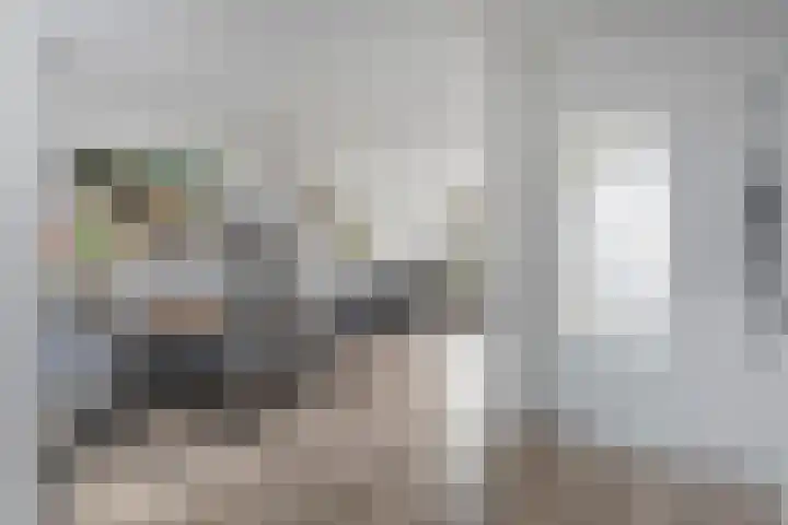 Piet Heinstraat 20 Meppel thumbnail 6