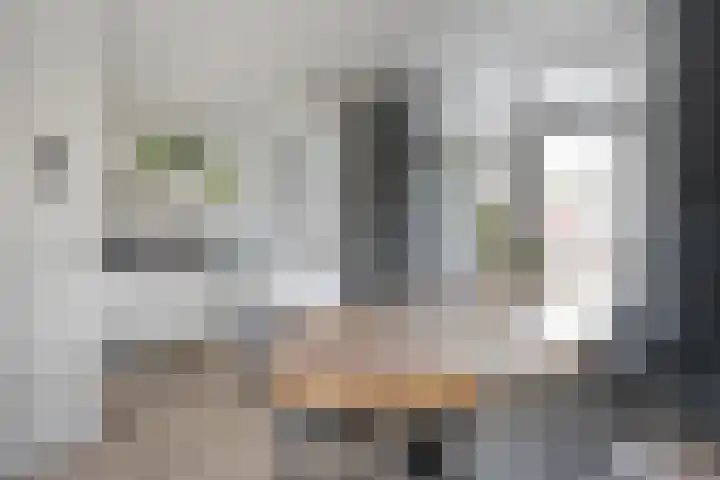 Piet Heinstraat 20 Meppel thumbnail 7