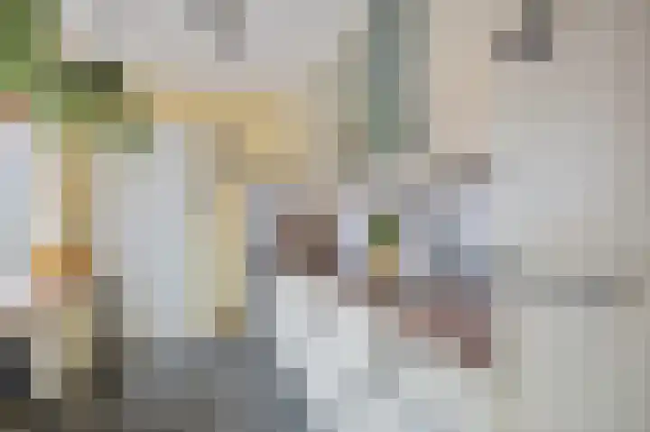 Piet Heinstraat 21 Hillegom thumbnail 10