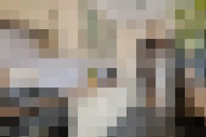 Piet Heinstraat 21 Hillegom thumbnail 11
