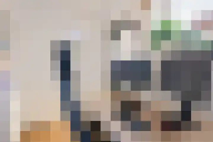 Piet Heinstraat 21 Hillegom thumbnail 12