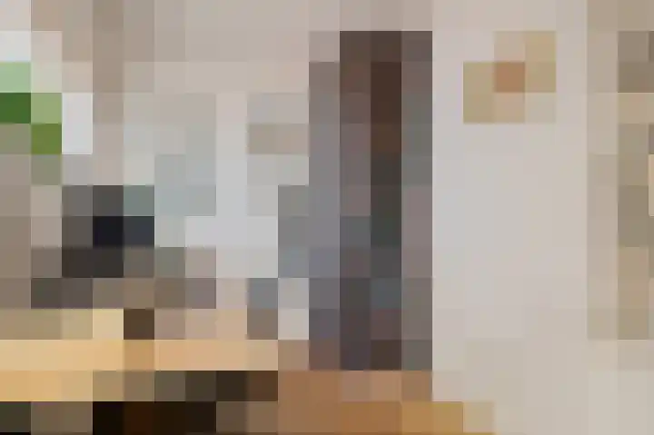 Piet Heinstraat 21 Hillegom thumbnail 13