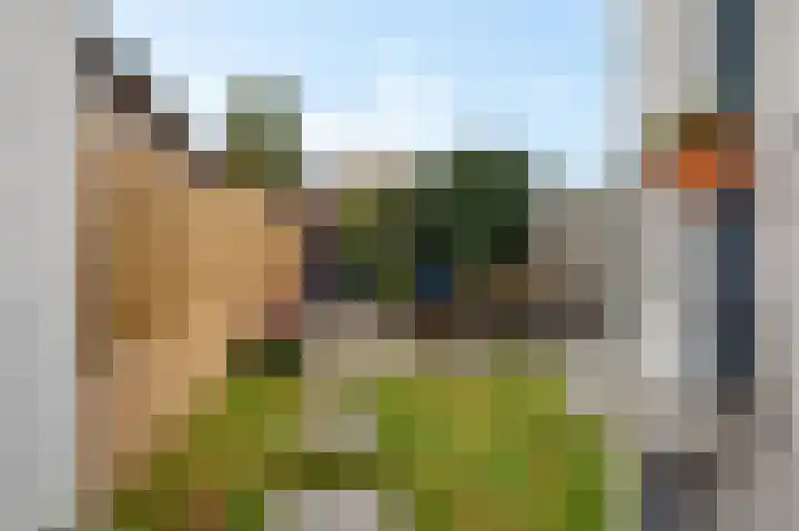 Piet Heinstraat 21 Hillegom thumbnail 14