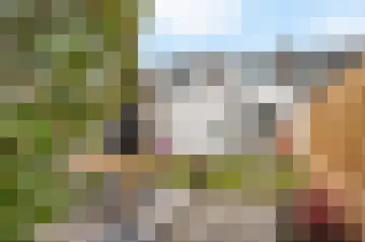 Piet Heinstraat 21 Hillegom thumbnail 16