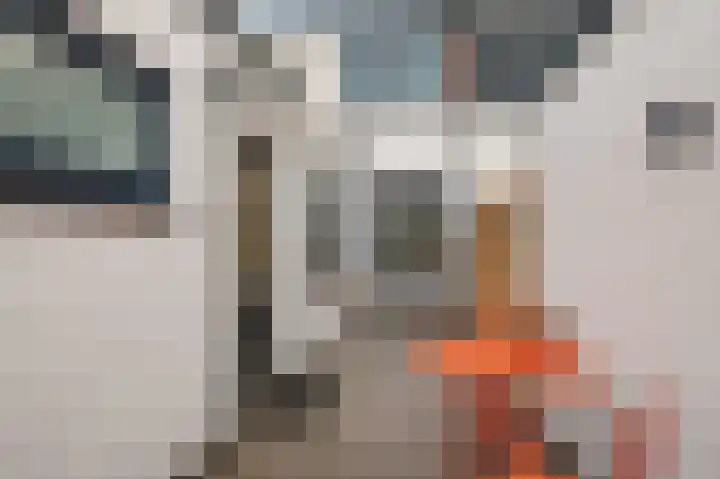 Piet Heinstraat 21 Hillegom thumbnail 17