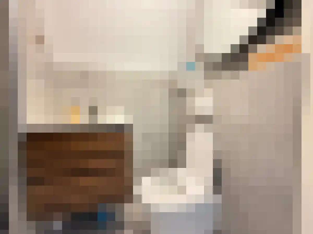 Piet Heinstraat 22 Den Haag thumbnail 5