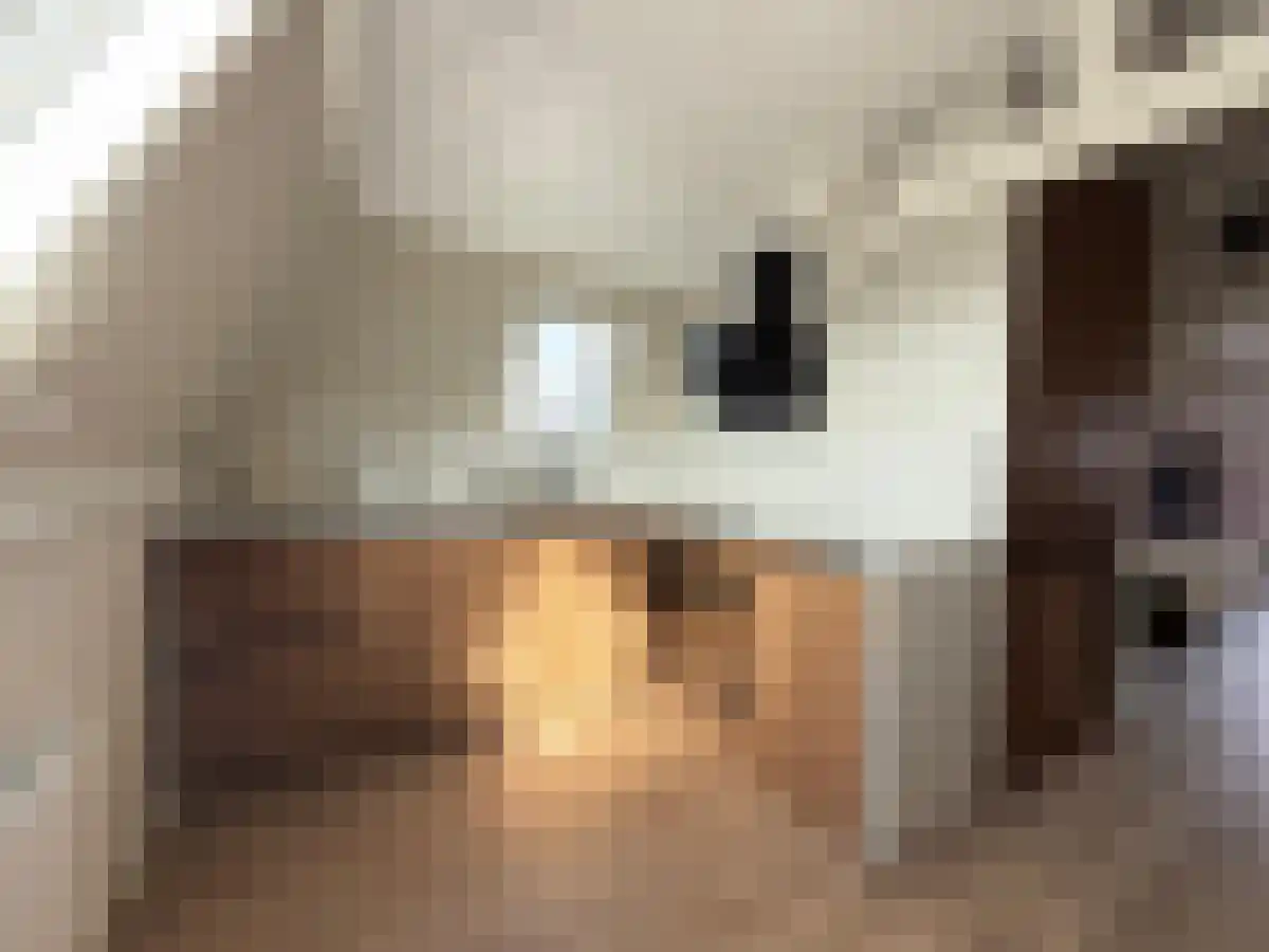 Piet Heinstraat 22 Den Haag thumbnail 6