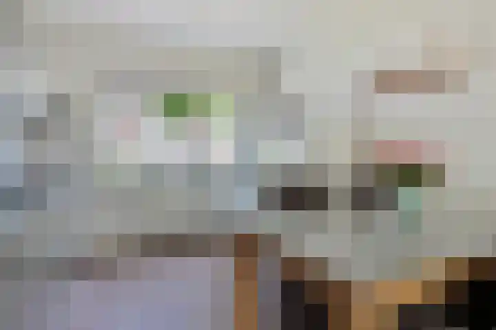 Piet Heinstraat 22 Drunen thumbnail 20