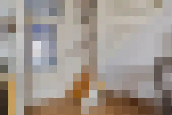 Piet Heinstraat 22 Drunen thumbnail 21