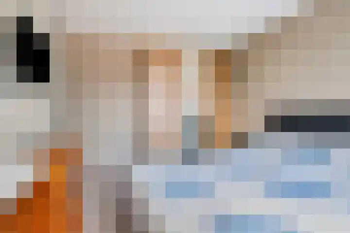 Piet Heinstraat 22 Drunen thumbnail 24