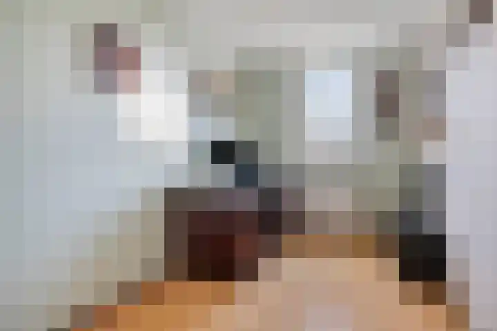 Piet Heinstraat 22 Drunen thumbnail 27