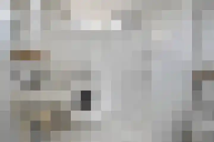 Piet Heinstraat 22 Drunen thumbnail 29