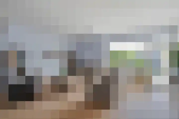 Piet Heinstraat 22 Drunen foto 3