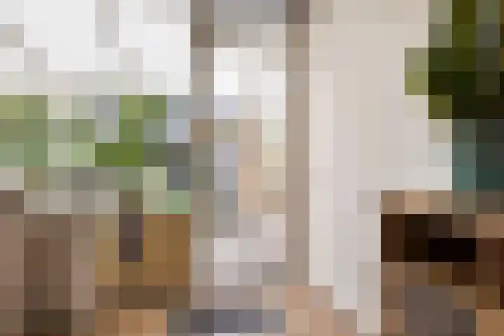 Piet Heinstraat 22 Drunen thumbnail 36