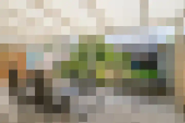 Piet Heinstraat 22 Drunen thumbnail 37
