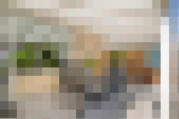 Piet Heinstraat 22 Drunen thumbnail 38