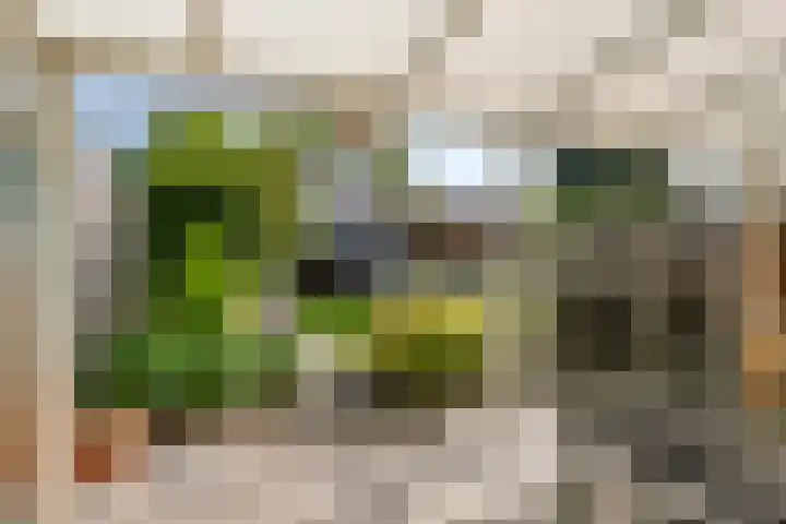 Piet Heinstraat 22 Drunen thumbnail 39