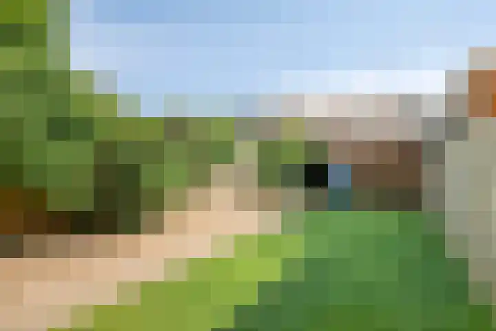 Piet Heinstraat 22 Drunen thumbnail 4