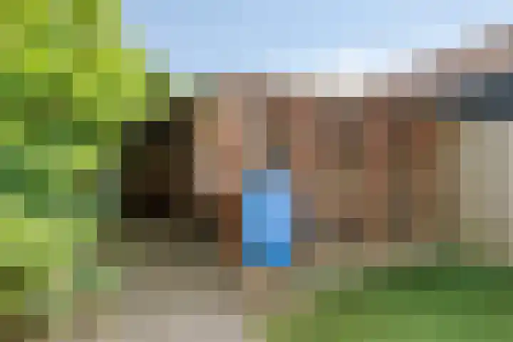 Piet Heinstraat 22 Drunen thumbnail 41