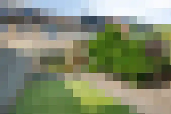 Piet Heinstraat 22 Drunen thumbnail 43