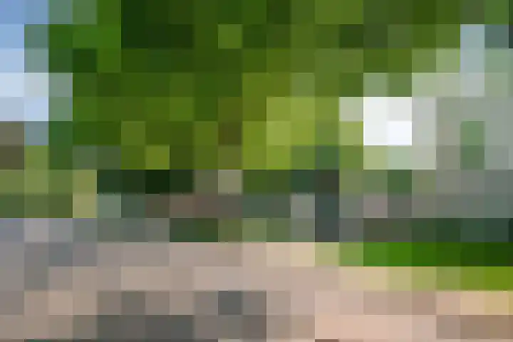Piet Heinstraat 22 Drunen thumbnail 47