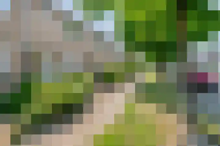 Piet Heinstraat 22 Drunen thumbnail 5