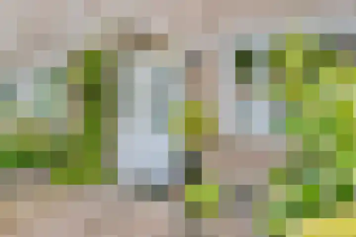 Piet Heinstraat 22 Drunen thumbnail 7