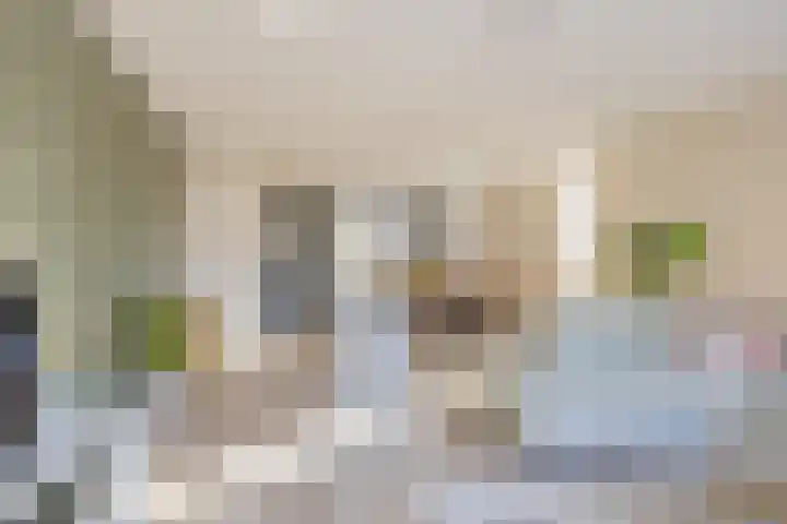 Piet Heinstraat 22 Lisse thumbnail 10