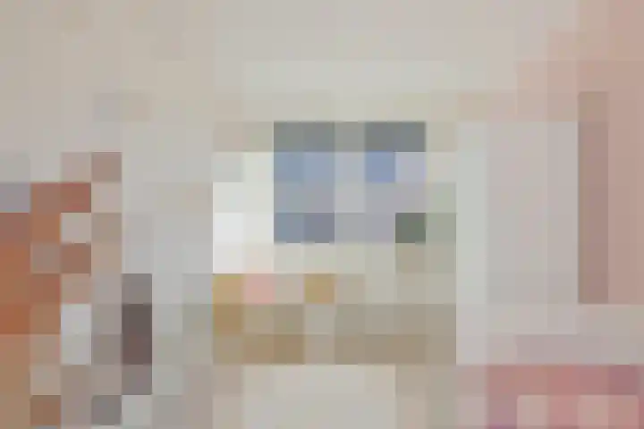 Piet Heinstraat 22 Lisse thumbnail 21