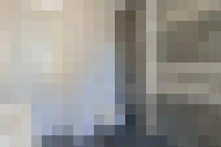 Piet Heinstraat 22 Lisse thumbnail 28