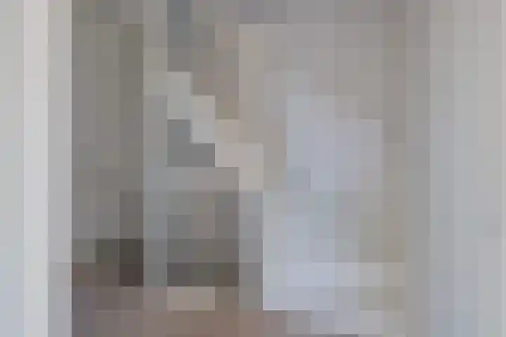 Piet Heinstraat 22 Lisse thumbnail 29