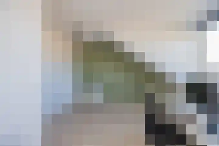 Piet Heinstraat 22 Lisse thumbnail 31