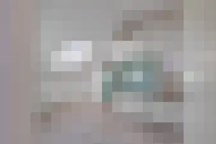 Piet Heinstraat 22 Lisse thumbnail 32