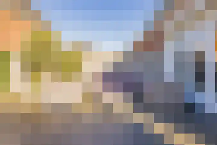 Piet Heinstraat 22 Lisse thumbnail 35