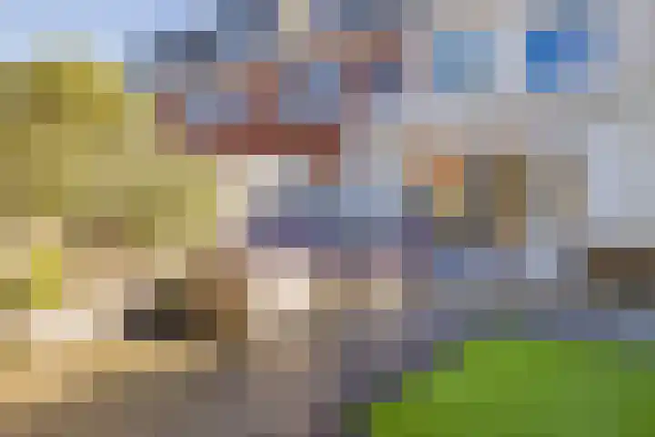 Piet Heinstraat 22 Lisse thumbnail 37