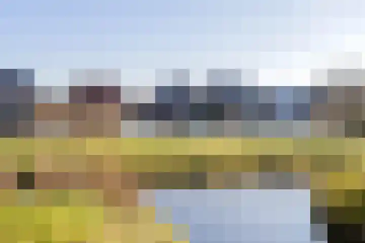 Piet Heinstraat 22 Lisse thumbnail 38
