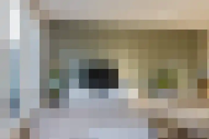 Piet Heinstraat 22 Lisse thumbnail 8