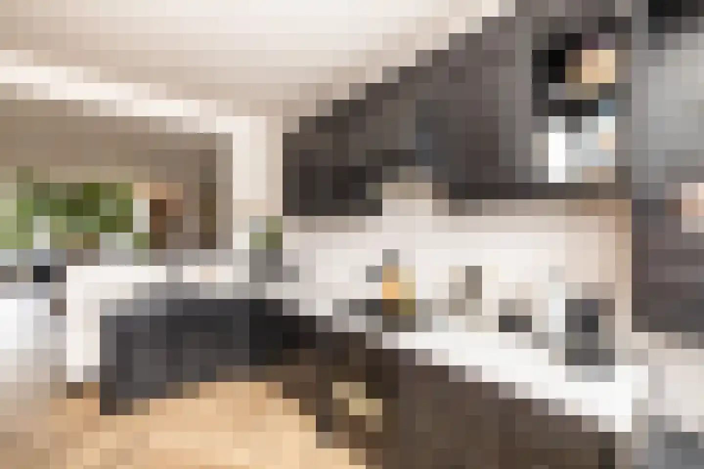 Piet Heinstraat 23 Hillegom thumbnail 21
