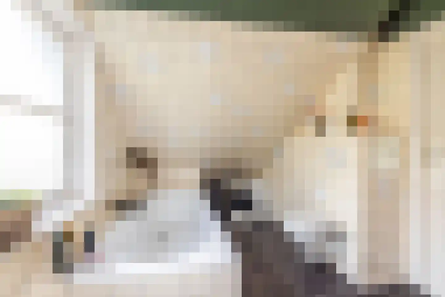 Piet Heinstraat 23 Hillegom thumbnail 27