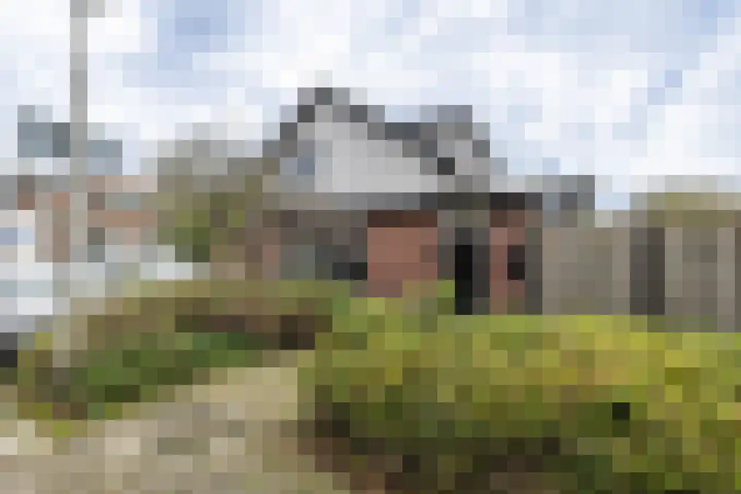 Piet Heinstraat 23 Hillegom thumbnail 5