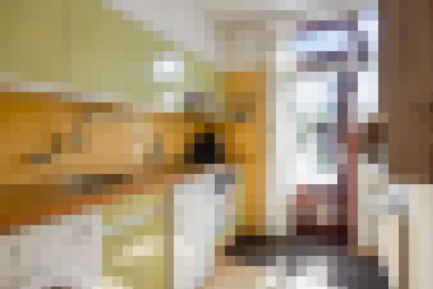 Piet Heinstraat 23 Maarssen thumbnail 10