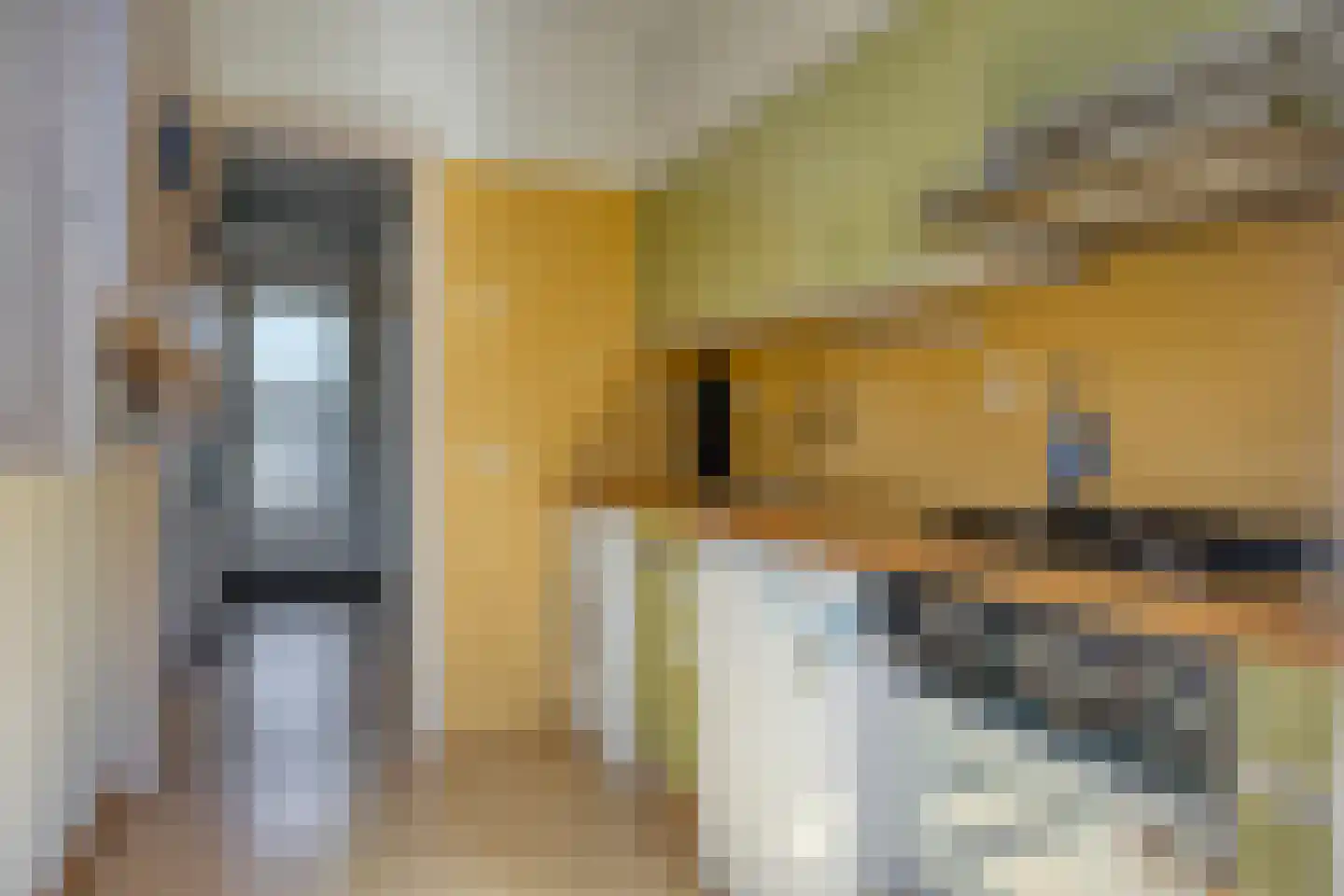 Piet Heinstraat 23 Maarssen thumbnail 12