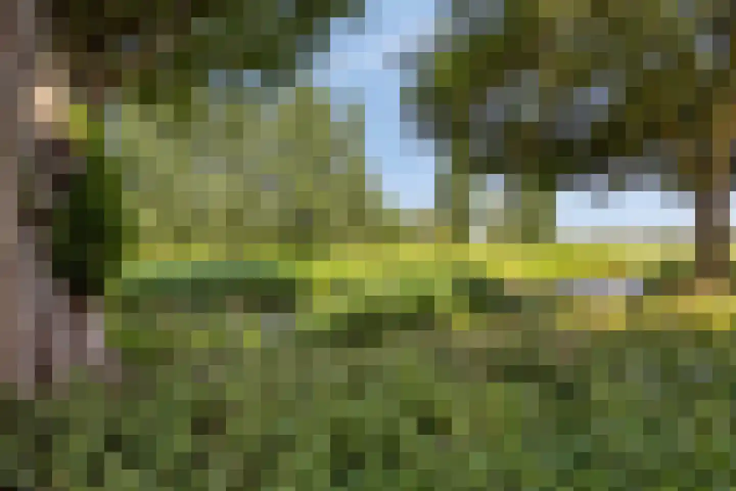 Piet Heinstraat 23 Maarssen thumbnail 31