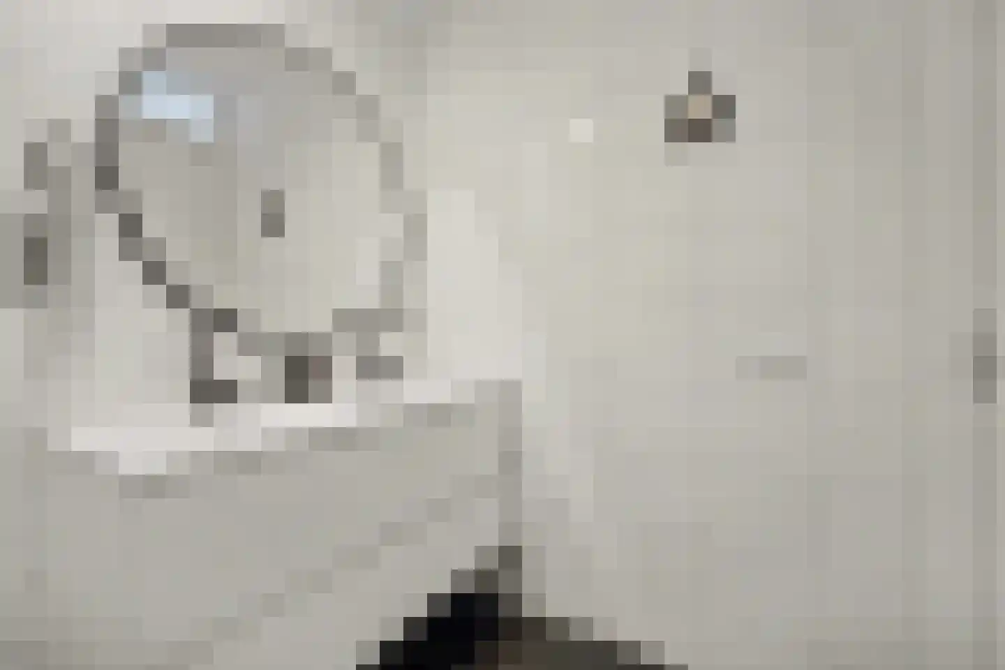 Piet Heinstraat 24 101 Goes thumbnail 20