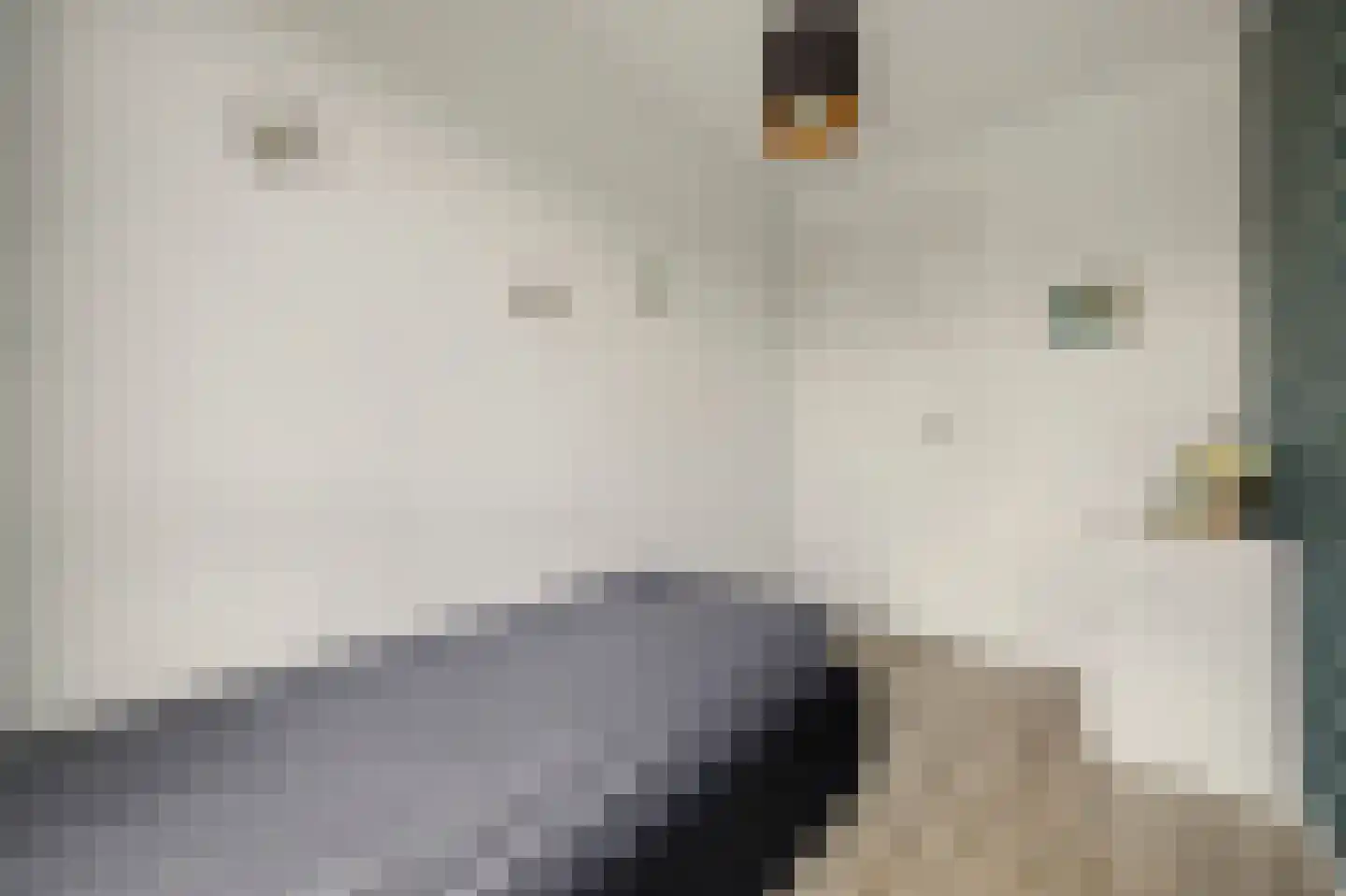 Piet Heinstraat 24 104 Goes thumbnail 19