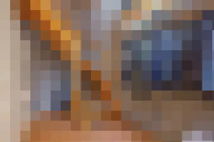 Piet Heinstraat 24 Schijndel thumbnail 10