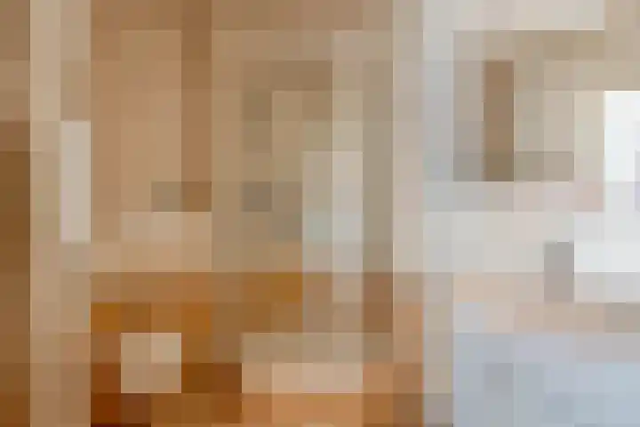 Piet Heinstraat 24 Schijndel thumbnail 11