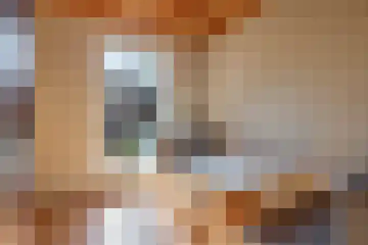 Piet Heinstraat 24 Schijndel thumbnail 13