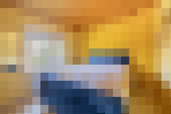 Piet Heinstraat 24 Schijndel thumbnail 18