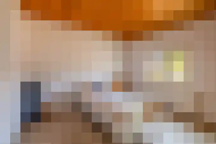 Piet Heinstraat 24 Schijndel thumbnail 19
